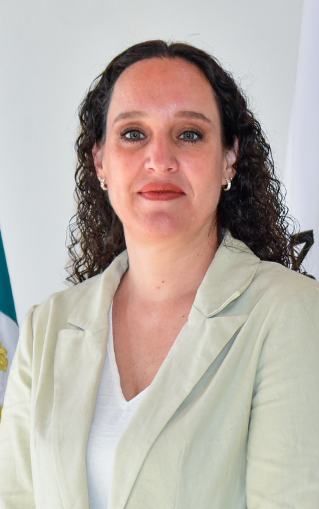 Consulta Ciudadana en Aguascalientes: una plataforma para escuchar y actuar