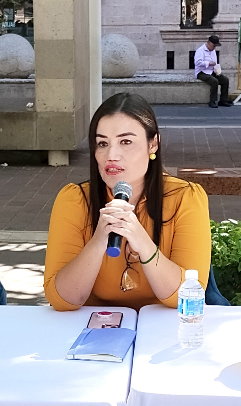 El Paquete Económico 2025 y sus consecuencias: Liz Martínez advierte riesgos para el estado