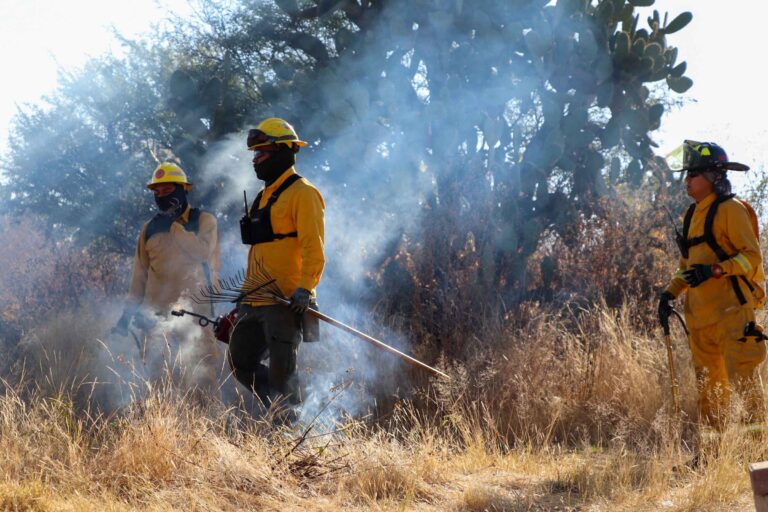 Impulsa municipio de Aguascalientes acciones para prevenir la propagación de incendios forestales