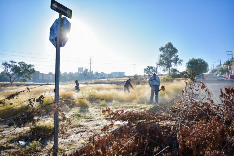 Municipio de Aguascalientes realiza mega operativo de limpieza en avenida Mariano Hidalgo