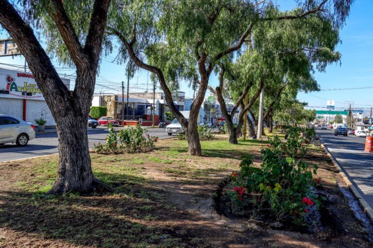 Mejora municipio áreas verdes en López Mateos y salida a Calvillo