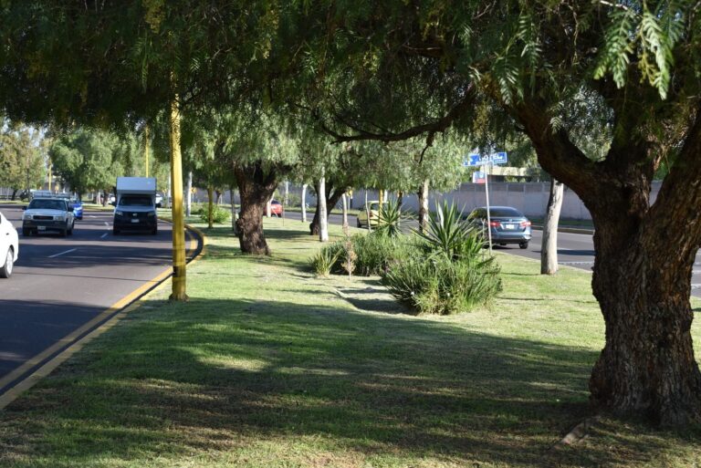 Municipio de Aguascalientes fortalece el mantenimiento y cuidado de áreas verdes 