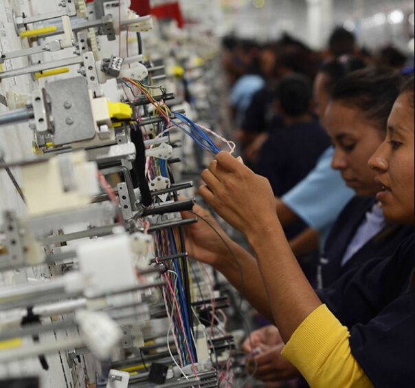 Las entidades que registraron los crecimientos más pronunciados fueron: Nayarit, Durango, Tamaulipas, Guanajuato y Aguascalientes.