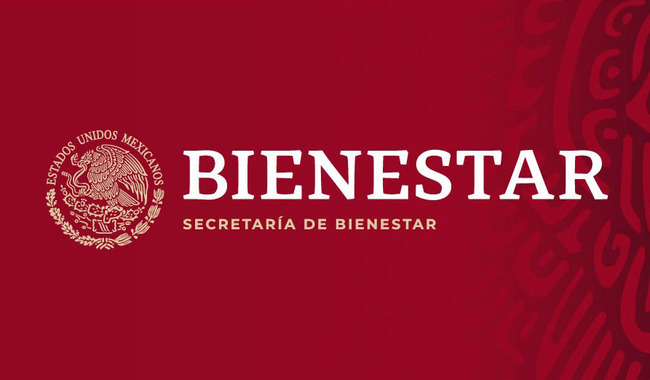 En México, los programas y pensiones han contribuido a recuperar el estado de Bienestar: Ariadna Montiel