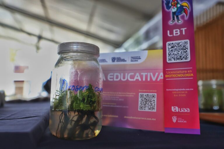 Jesús María conmemora el Día Mundial de la Educación Ambiental