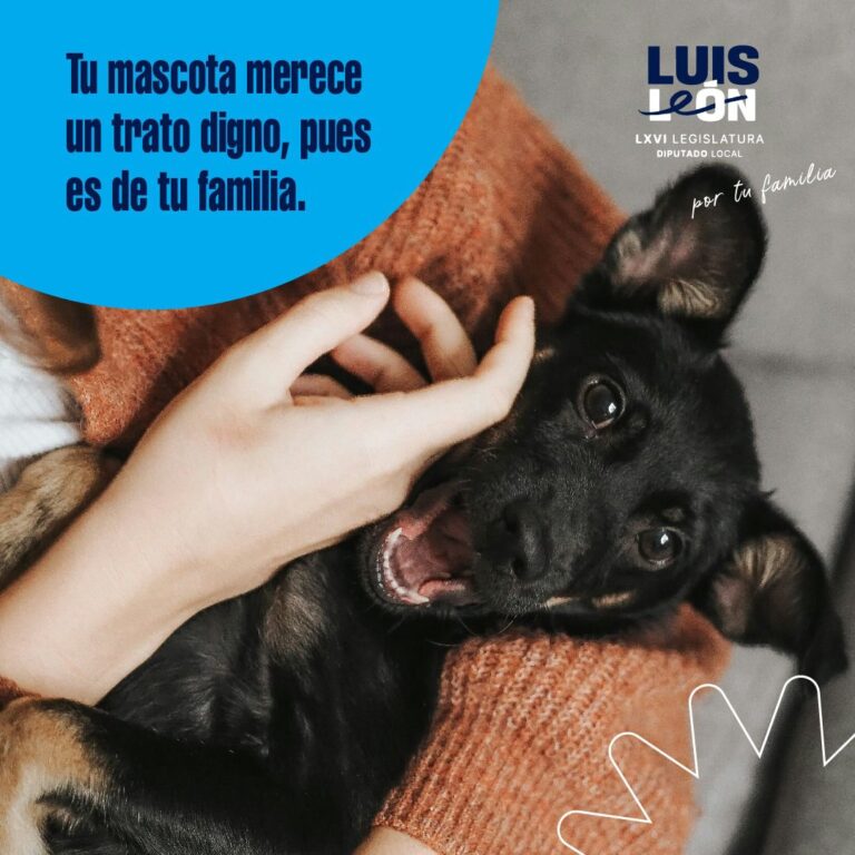 Luis León llama a la responsabilidad en el cuidado de mascotas