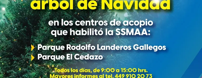 Abren dos centros para colecta de árboles navideños naturales
