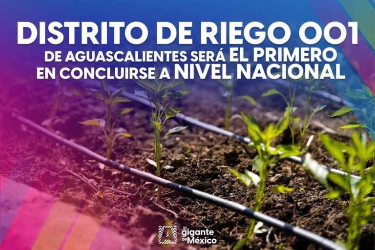 Modernización y eficiencia: Así funcionan los hidrantes del Distrito de Riego