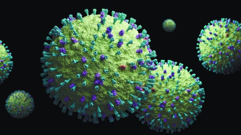 El metapneumovirus no es nuevo, pero se deben de tomar medidas de protección