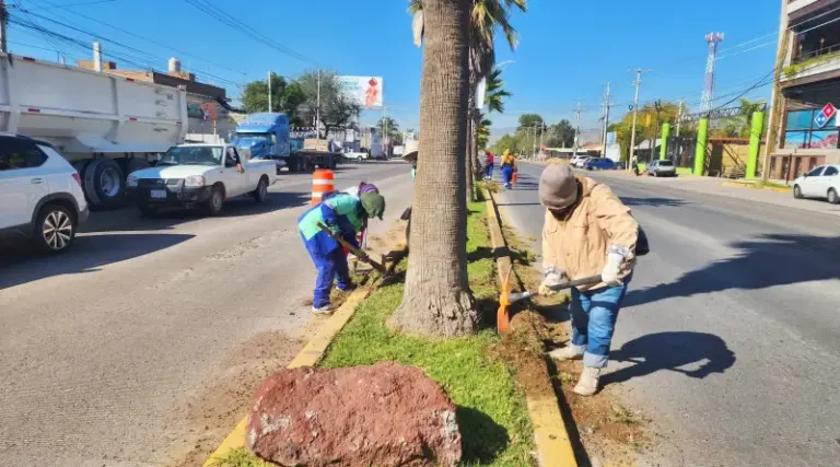 Jesús María intensifica limpieza y desmalezado en la 45 Norte