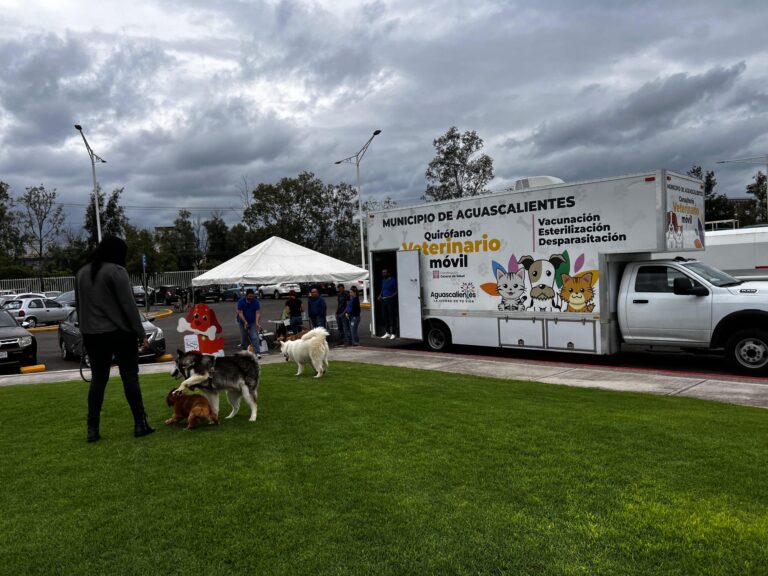 Fortalece municipio de Aguascalientes acciones en favor del bienestar animal