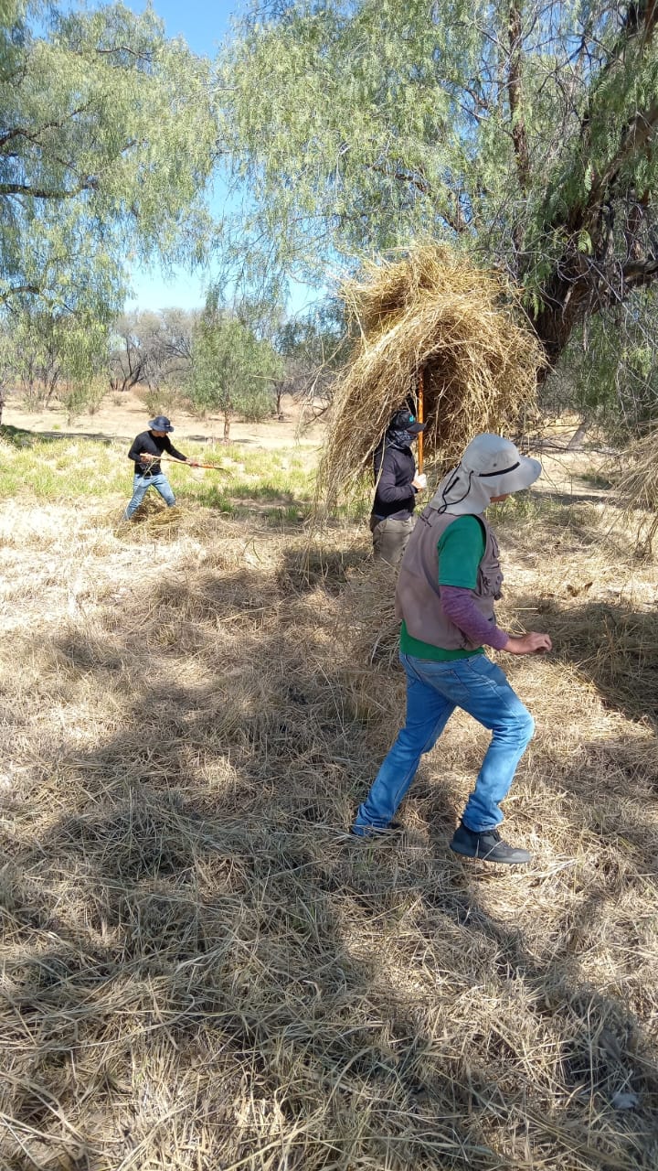Municipio de Aguascalientes intensifica acciones de prevención de incendios y mantenimiento en el Área Natural Protegida La Pona