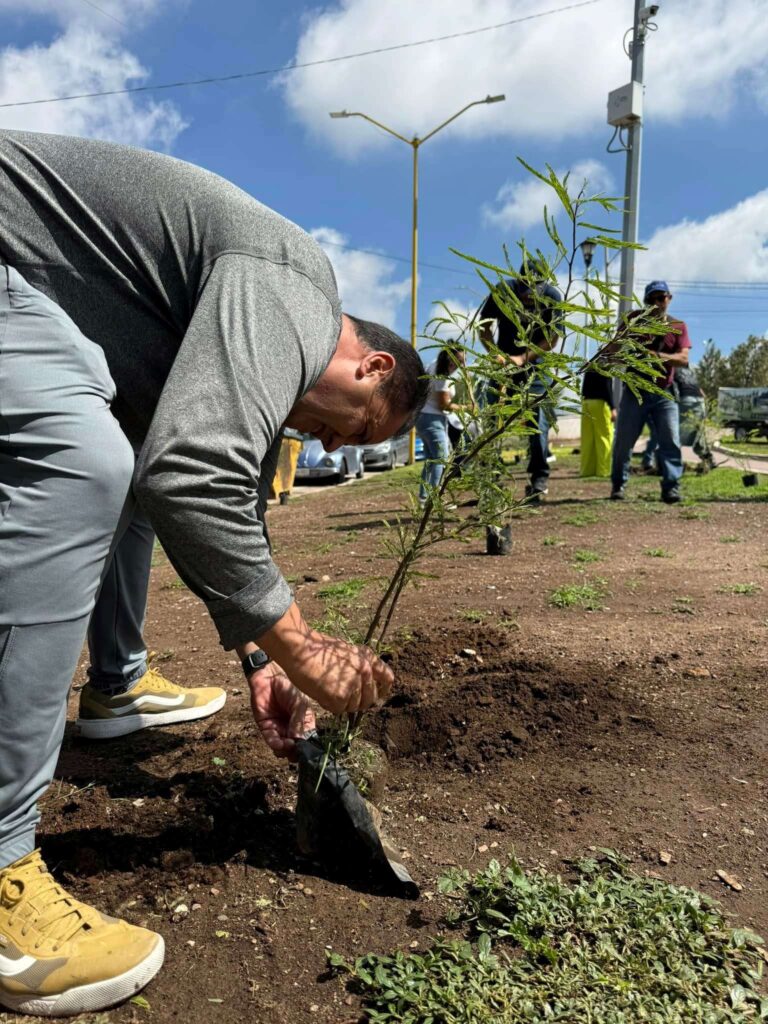 Línea Verde fomenta la cultura ambiental con acciones de cuidado de árboles y plantas