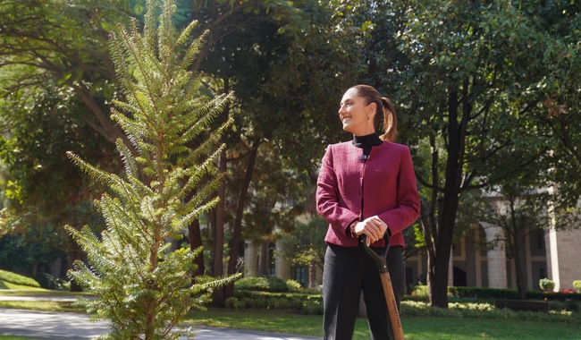 En 2025 nos va a ir muy bien porque hay unidad con el pueblo de México: Sheinbaum