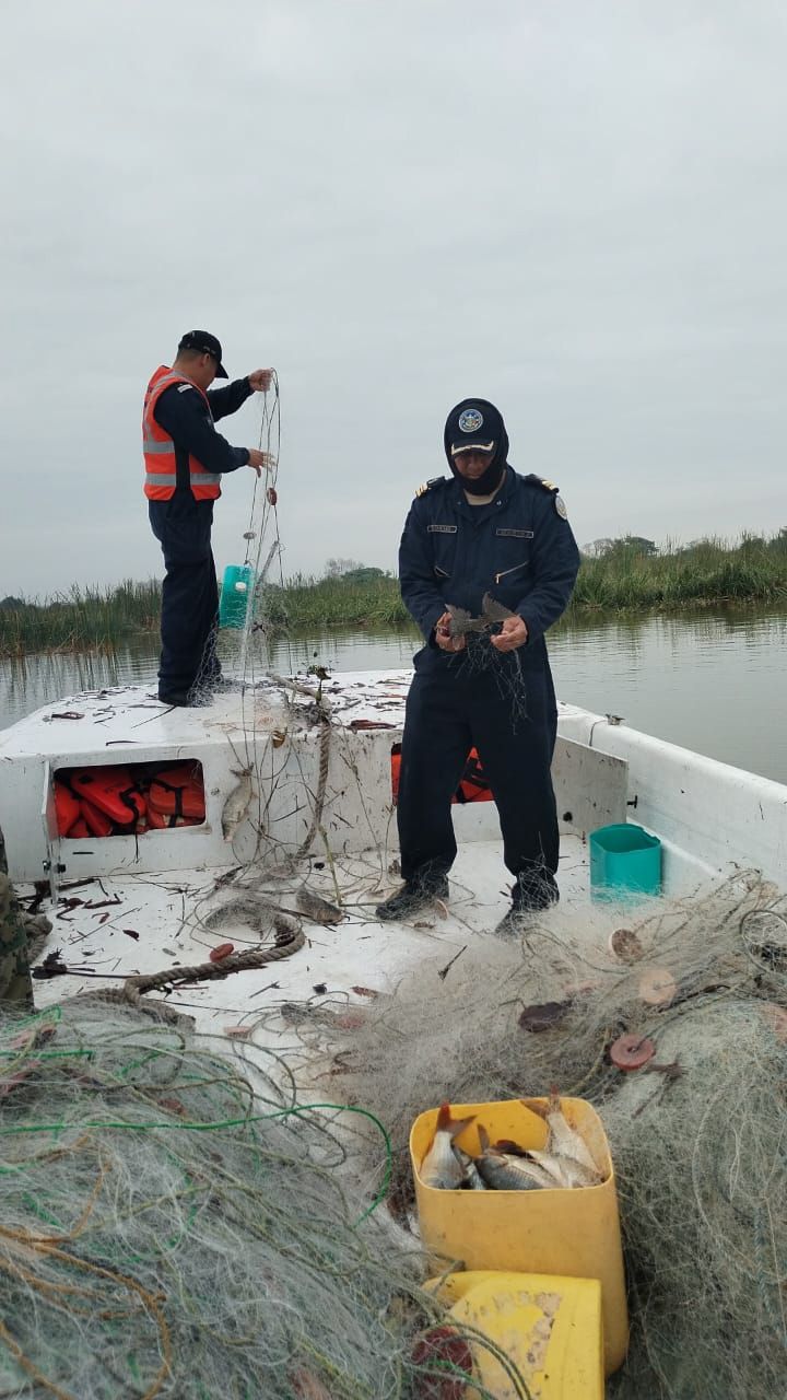 Retienen Agricultura y Marina más de 86 toneladas de producto pesquero ilegal en 17 estados