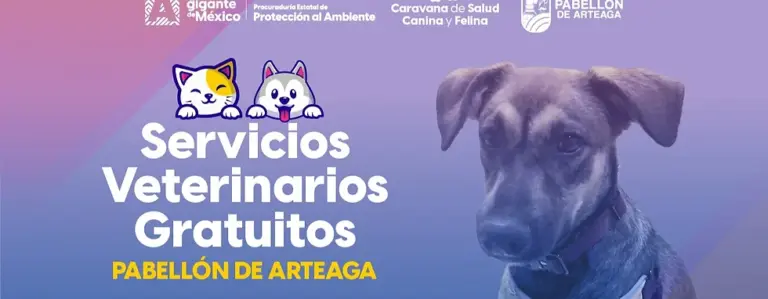 Servicios veterinarios gratuitos en Pabellón, Aguascalientes de Arteaga este 14 de febrero