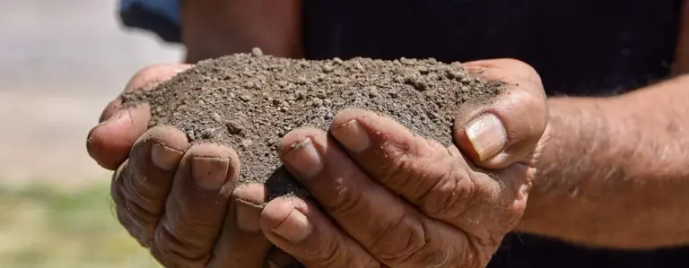 Apoyan a agricultores con composta para mejorar sus cultivos en Aguascalientes