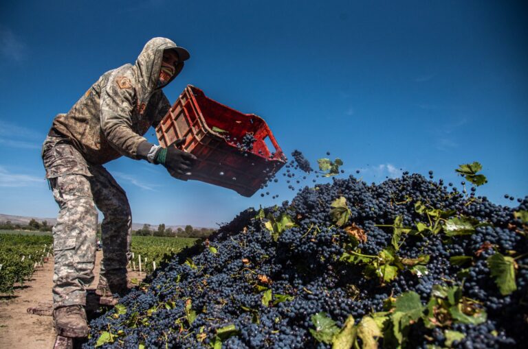 Impacto de los aranceles, turismo vitivinícola y la pérdida de empleos por reducción de la jornada laboral
