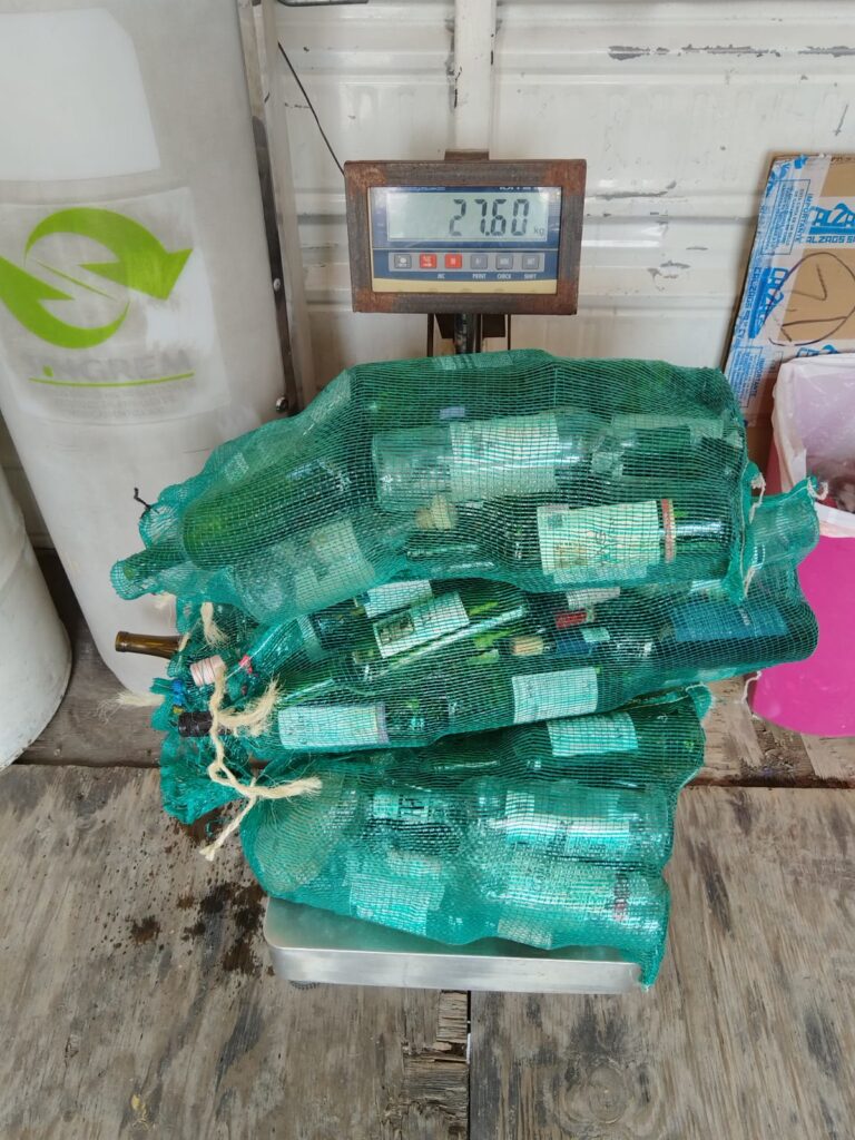 Reciclaje ordenado, beneficio directo para recolectores en Aguascalientes