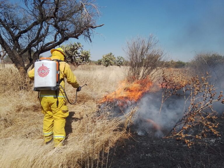 Bomberos municipales fortalecen acciones de combate de incendios forestales