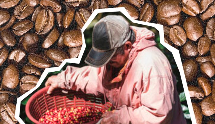 ¿Qué está pasando con los productores de café en México?