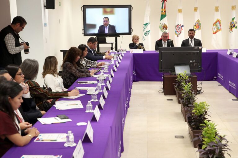 El TEPJF es clave para la continuidad, la legalidad y la certeza de elección judicial