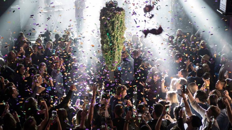 ¿Cómo funciona el turismo cannábico y qué pasará si México lo permite?