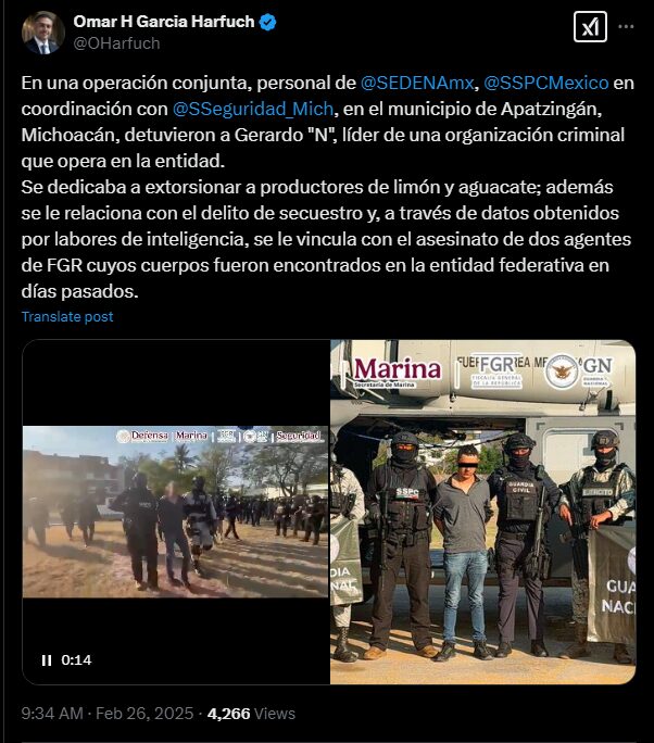 Capturan a líder de una organización criminal en Michoacán