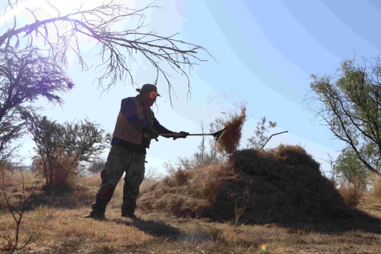 Municipio de Aguascalientes fortalece labores de desmalezado en el Área Natural Protegida La Pona