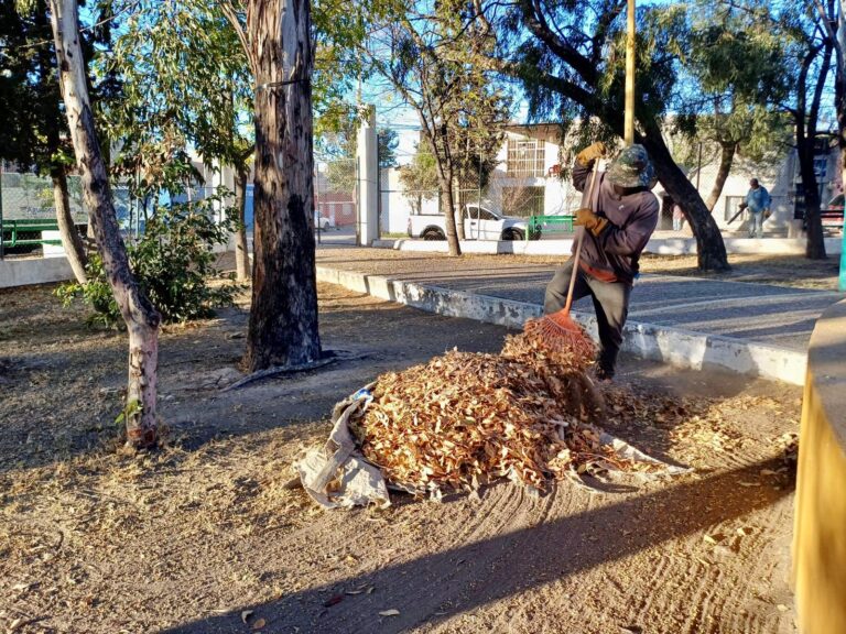 Municipio de Aguascalientes refuerza el mantenimiento de áreas verdes con trabajos vespertinos