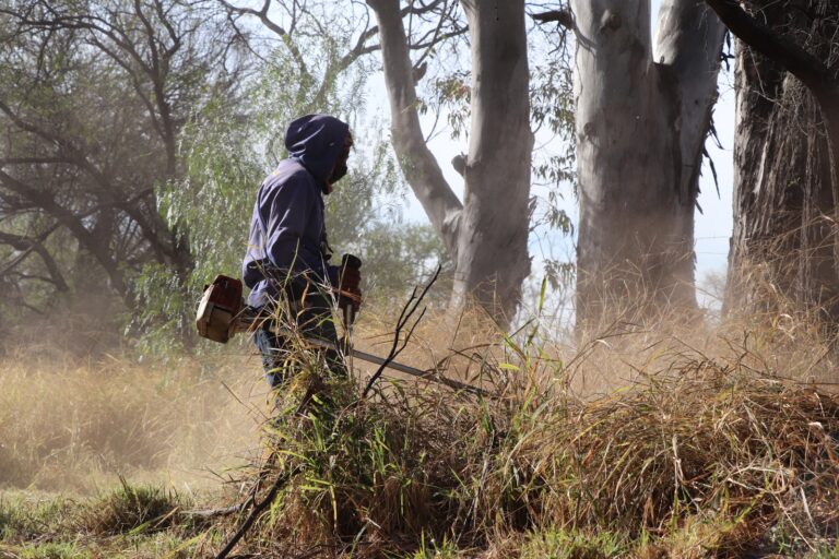 Municipio de Aguascalientes continúa con los operativos de limpieza en “La Pona”