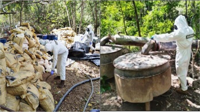 Desmantelan seis narcolaboratorios en Sinaloa