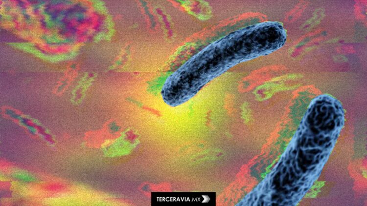 La IA de Google resuelve en 48 horas un misterio científico que tardó 10 años en descifrarse