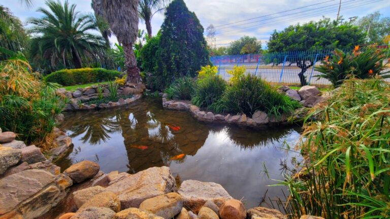 Se realizan recorridos guiados en el Jardín Didáctico del Vivero Municipal de Aguascalientes