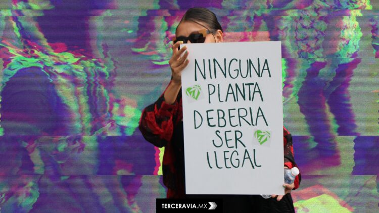 ¿Consumir cannabis es un acto de rebeldía? El activismo detrás de la legalización