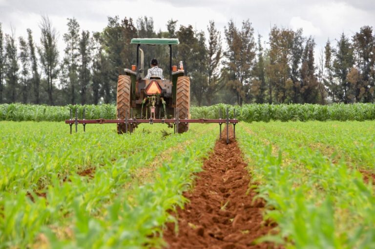Anuncian apoyos para adquirir equipo agrícola en Aguascalientes