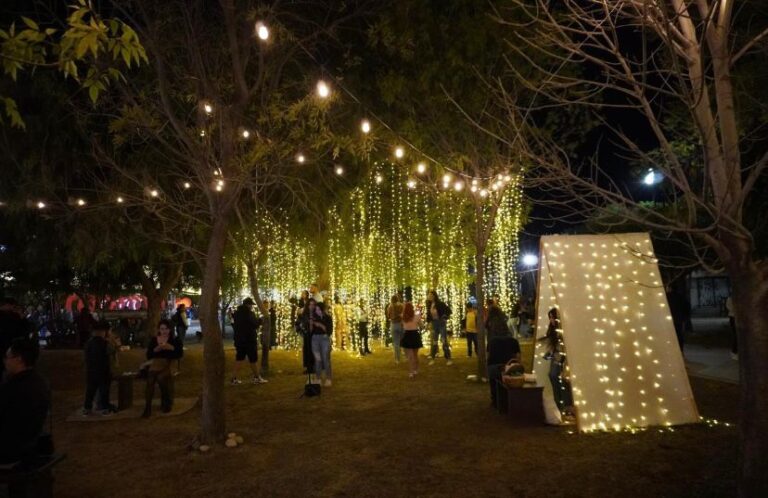 No te pierdas del 1º al 16 de febrero actividades gratuitas en Ficotrece