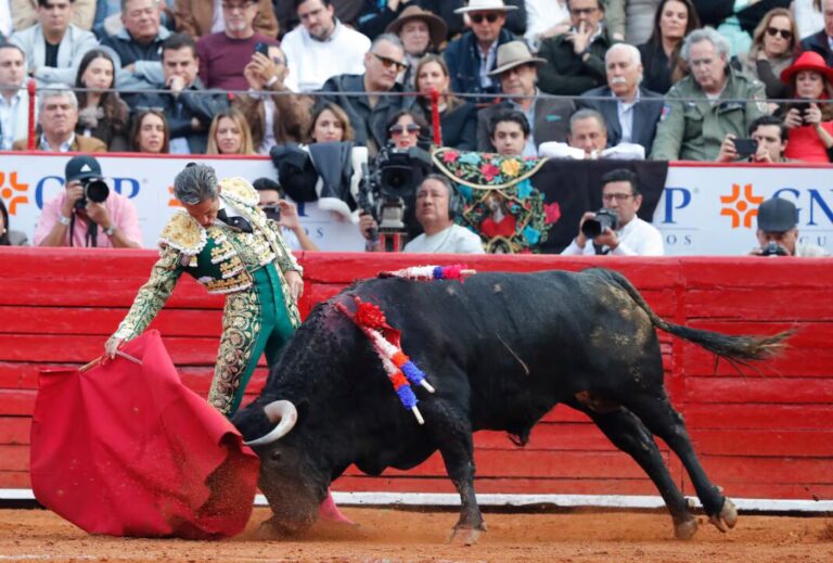 Toros sí, sangre no: La CDMX da un giro histórico a la tauromaquía
