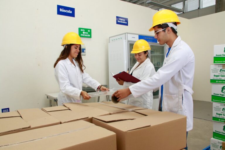 México debe apostar por la innovación y diversificación comercial