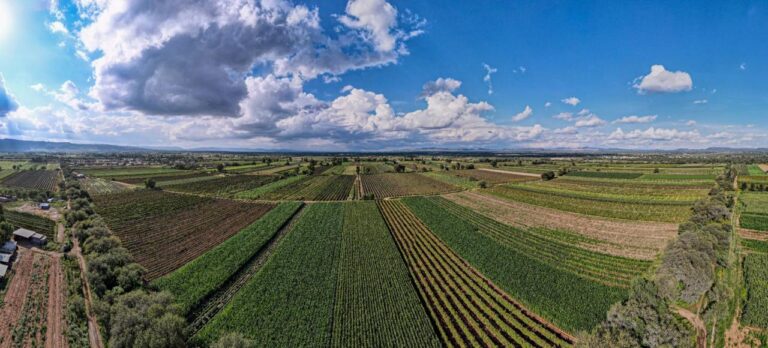Productores agrícolas podrán equipar sus pozos con apoyo del Gobierno del Estado de Aguascalientes