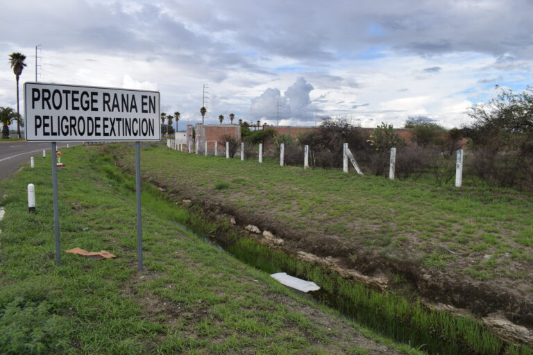 Respuestas del gobierno en el amparo del POEL: evasivas, contradictorias y antidemocráticas