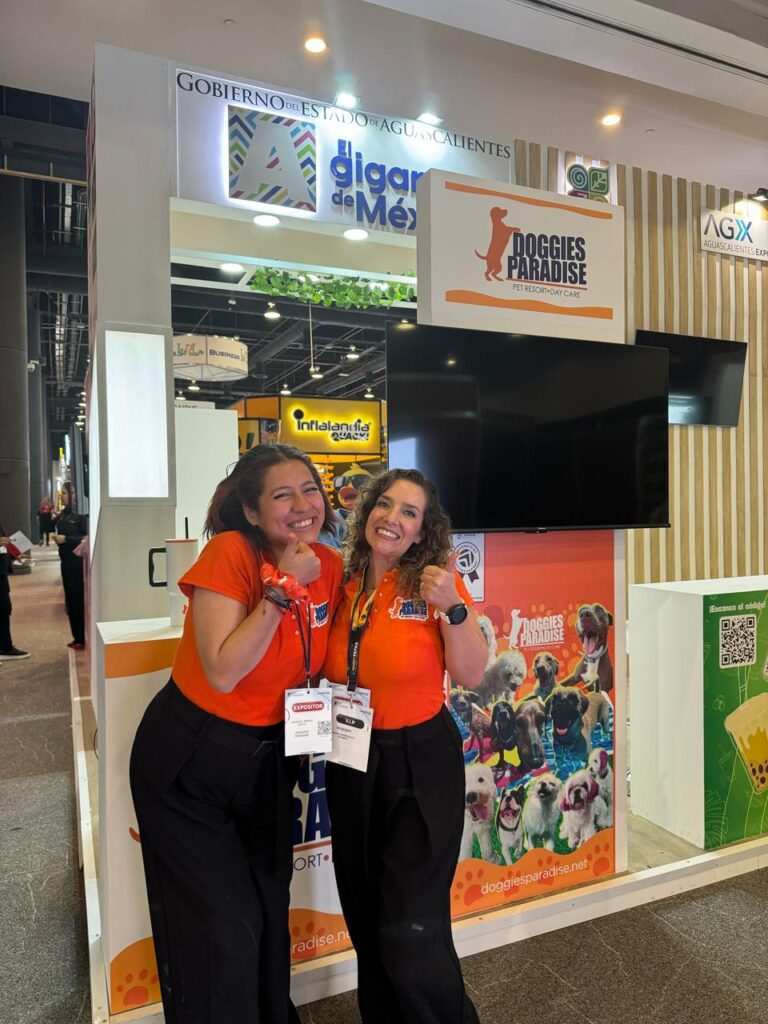 Doggies Paradise: el paraíso para los perritos que nació del amor