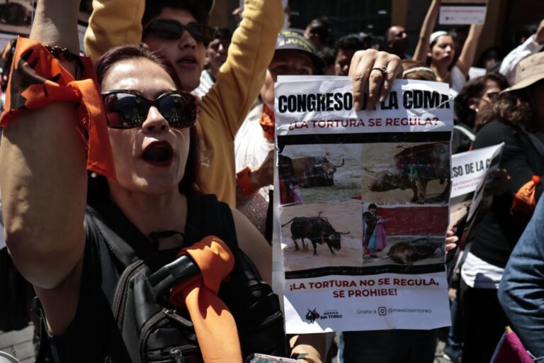 ¿Cómo serán las corridas de toros sin violencia en CDMX? Estas son las nuevas reglas