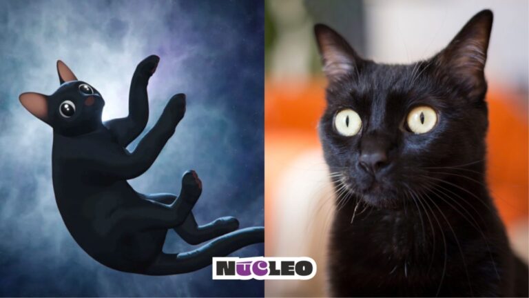 El efecto Flow: Adopciones de gatos negros aumenta un 30%