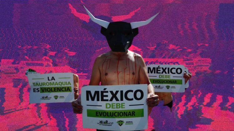 CDMX dice adiós a la tauromaquia tradicional: Se permitirá sin sangre ni violencia ¿Pero cómo?