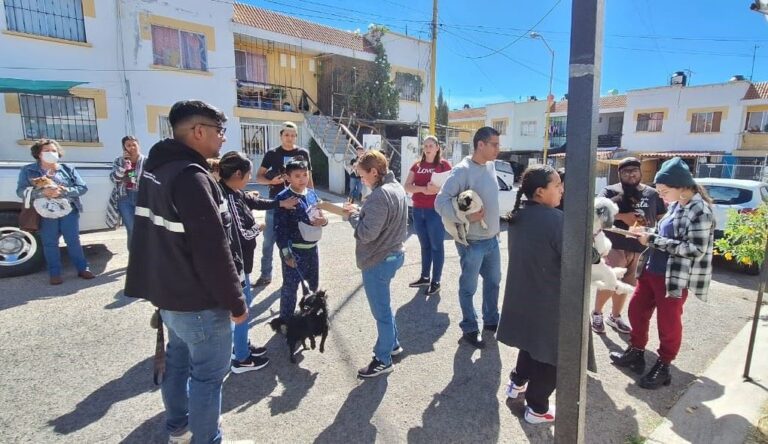 Invita municipio de Aguascalientes a jornada de la Clínica Veterinaria Móvil