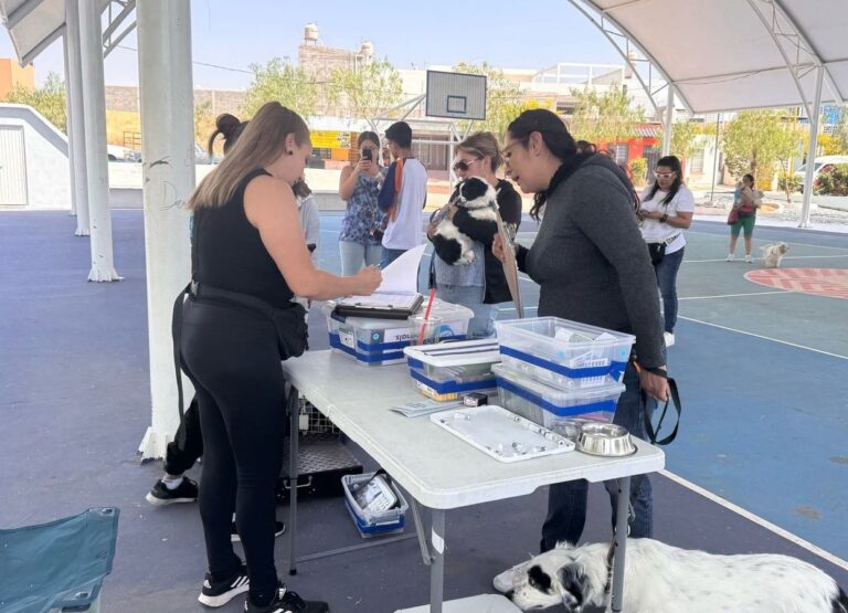 Nueva jornada de la Clínica Veterinaria Móvil este fin de semana