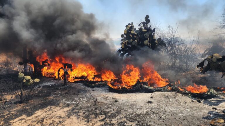 Bomberos municipales de Aguascalientes y CONAFOR unifican esfuerzos en el combate de incendios