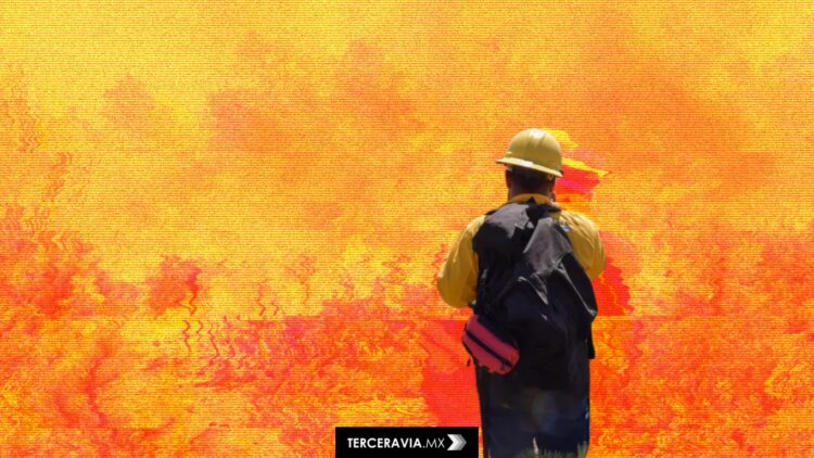 Incendios en Chihuahua: Vientos agravan crisis mientras brigadistas luchan por controlarlos