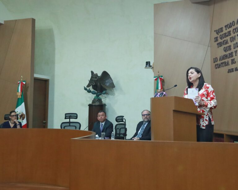 La Constitución mexicana tiene hoy tintes violetas y naranjas: Mónica Soto Fregoso